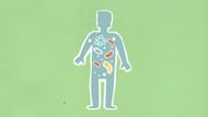 Identifying it can be particularly difficult due to its numerous symptoms, which coincide with those of other ailments such as the flu or chest infections. (Monstera/Pexels)